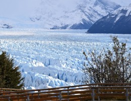Patagonia Austral: Ushuaia & El Calafate � Salida Grupal Acompa�ada